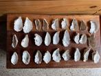 25 oesterschelpen oester schelp bakje 8  - 11 cm heel goed, Hobby en Vrije tijd, Ophalen of Verzenden, Zo goed als nieuw, Materiaal