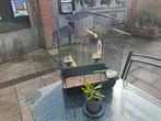 Te koop  nette vogel kooi met toebehoren, Ophalen of Verzenden
