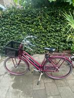 Sparta pick-up fiets | 5 versnellingen | rekje, Fietsen en Brommers, Fietsen | Dames | Damesfietsen, Ophalen, Sparta, 53 tot 56 cm