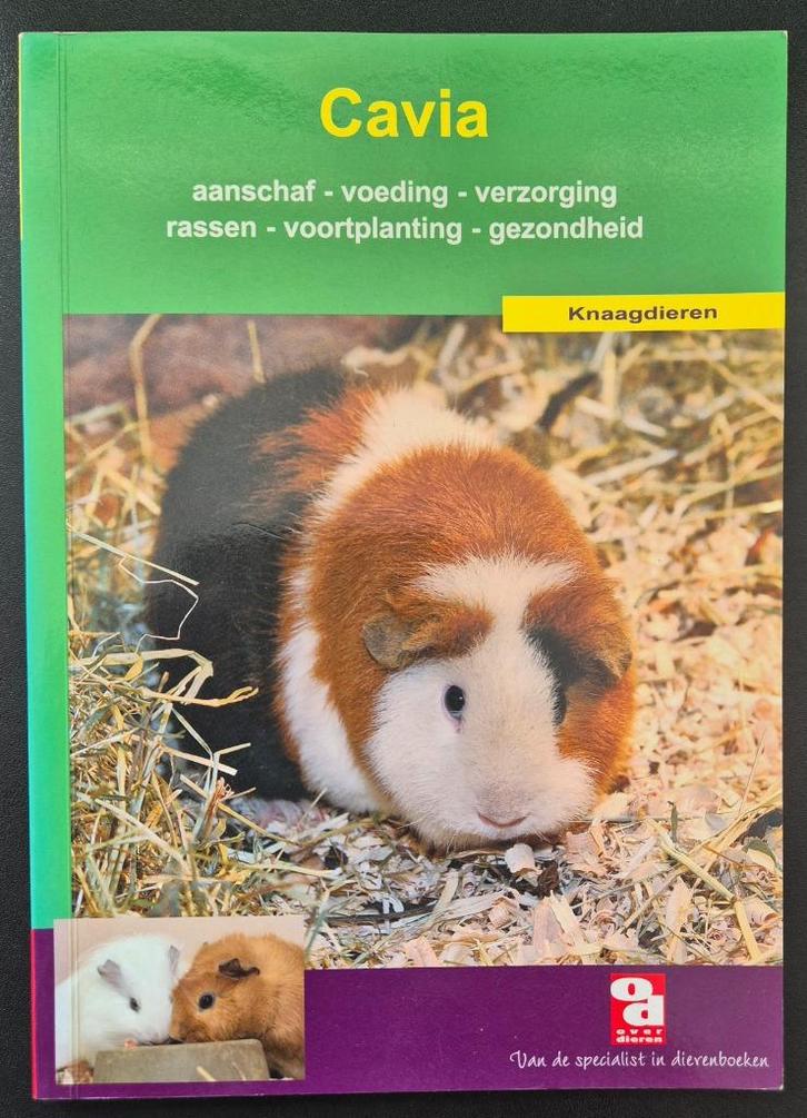Cavia - Over Dieren, Boeken, Dieren en Huisdieren, Zo goed als nieuw, Konijnen of Knaagdieren, Verzenden