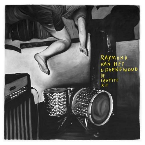 3 CD's: Raymond van het Groenewoud (ZGAN), Cd's en Dvd's, Cd's | Nederlandstalig, Zo goed als nieuw, Pop, Verzenden