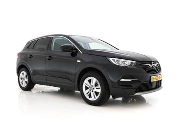 Opel Grandland X 1.2 Turbo Business Executive (INCL-BTW) Aut beschikbaar voor biedingen