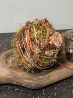 Amaryllis bol, Ophalen of Verzenden