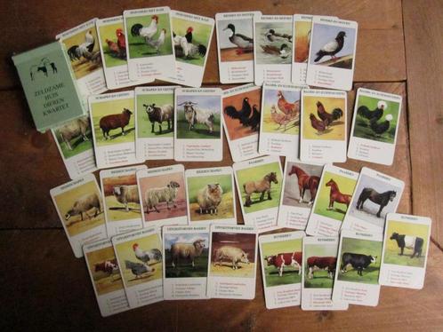 Vintage kwartet zeldzame huisdieren - vintage afbeeldingen, Verzamelen, Speelkaarten, Jokers en Kwartetten, Gebruikt, Kwartet(ten)