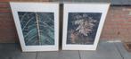 Meerdere ingelijste botanische prints, Ophalen of Verzenden, Zo goed als nieuw, Print, Oorspronkelijke maker
