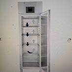 ZGAN LIEBHERR Professionele VRIESKAST GGPv 6570 - 601L bruto, Witgoed en Apparatuur, 160 cm of meer, Zo goed als nieuw, Ophalen