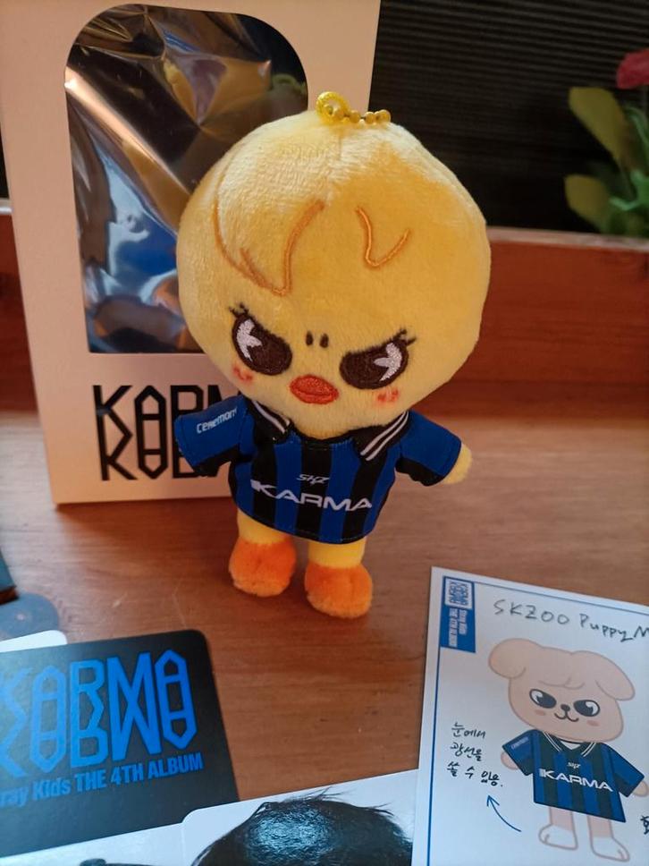 Bbokari skzoo plush karma stray kids Felix knuffel + kaarten, Kinderen en Baby's, Speelgoed | Knuffels en Pluche, Nieuw, Overige typen
