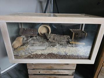 Prachtig op maat gemaakt terrarium hamsters, reptielen, etc beschikbaar voor biedingen