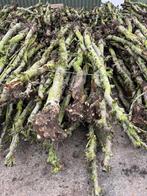 Openhaardhout stammen appelhout haardhout, 6 m³ of meer, Ophalen, Stammen