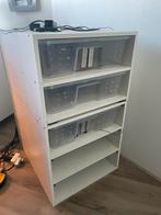 Slangen kweekkast/racks, Ophalen, Zo goed als nieuw