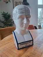 L.N. Fowler - Phrenology Head, Ophalen of Verzenden, Zo goed als nieuw, Mens