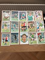 Feyenoord panini vanderhout 1976-1977, Ophalen of Verzenden, Gebruikt, Feyenoord, Poster, Plaatje of Sticker
