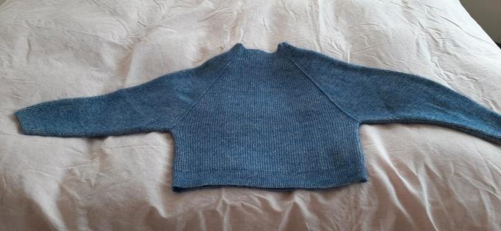Humanoid trui, Kleding | Dames, Truien en Vesten, Zo goed als nieuw, Maat 36 (S), Blauw, Ophalen of Verzenden