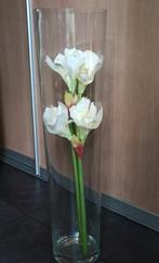 Glazen vaas met 2 witte Amaryllis-takken, Ophalen, Overige kleuren, 50 tot 75 cm, Glas