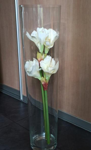Glazen vaas met 2 witte Amaryllis-takken beschikbaar voor biedingen