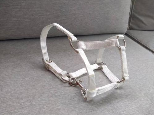 Hobbyhorse halster wit, Hobby en Vrije tijd, Overige Hobby en Vrije tijd, Nieuw, Ophalen of Verzenden