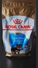 Brokjes Royal Canin Yorkshire Terriër 1.5 kg, Ophalen, Hond