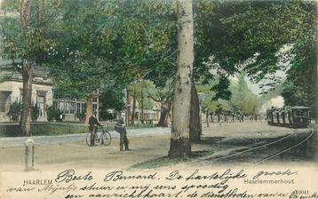 (701-057-001) Haarlem Haarlemmerhout beschikbaar voor biedingen