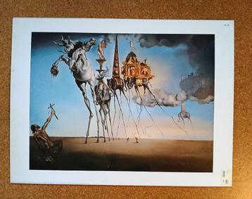 poster Salvador Dali beschikbaar voor biedingen