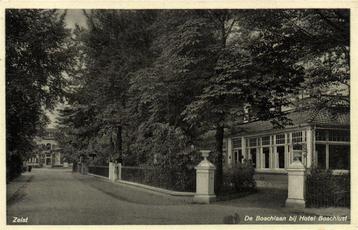 Zeist - De Boschlaan bij Hotel Boschlust - ongelopen beschikbaar voor biedingen