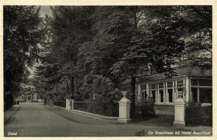 Zeist - De Boschlaan bij Hotel Boschlust - ongelopen, Verzamelen, Ansichtkaarten | Nederland, Ongelopen, Utrecht, Voor 1920, Ophalen of Verzenden