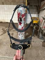 Edix ED5 CAVESSON PRO hoofdstel pony, Dieren en Toebehoren, Ophalen, Nieuw