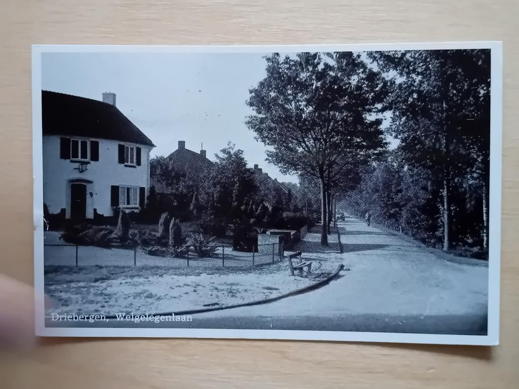 Ansichtkaart Driebergen, Ophalen of Verzenden, Utrecht