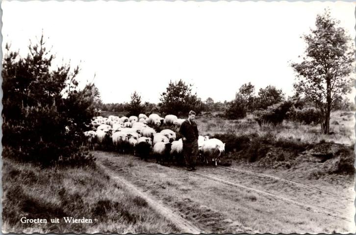 Groeten uit Wierden (1966), Verzamelen, Ansichtkaarten | Nederland, Gelopen, Overijssel, 1960 tot 1980, Verzenden