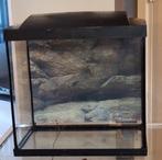 Complete starters-set aquarium, Ophalen of Verzenden