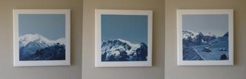 Foto's op canvas beschikbaar voor biedingen