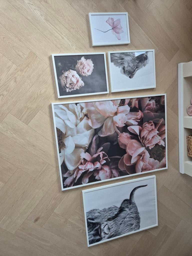 5 witte lijsten met posters, Ophalen, Zo goed als nieuw