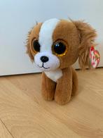 Nieuw! Knuffel van Ty, Verzenden, Nieuw, Overige typen