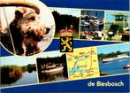 De Biesbosch - 3 ansichtkaarten, Verzenden, 1960 tot 1980, Ongelopen, Zuid-Holland