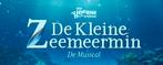 Kaarten theatershow kleine zeemeermin Schouwburg Hengelo, Drie personen of meer, December