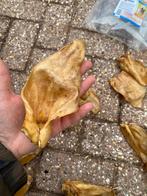 Runderoren, Ophalen, Hond