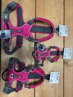 Grote Partij Nieuwe Dog Copen Hagen Tuigen/riemen, Ophalen of Verzenden, Nieuw