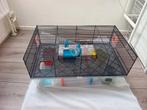 Russische hamster hok, Dieren en Toebehoren, Gebruikt, Minder dan 75 cm, Ophalen, Minder dan 60 cm
