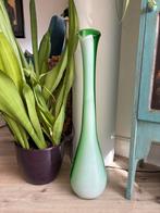 Vaas voor amaryllis bloemen, Ophalen, Minder dan 50 cm, Groen, Glas