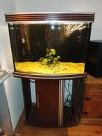 Aquarium 190 liter Trofis incl. onderkast en buitenfilter, Dieren en Toebehoren, Vissen | Aquaria en Toebehoren, Ophalen, Gebruikt