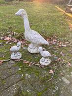 Prachtige gans met twee kuikentjes, Ophalen