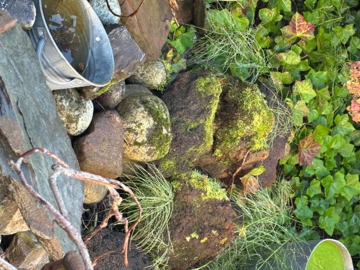 Te koop tuin keien, Tuin en Terras, Grind, Keien en Split, Gebruikt, Kei, Antraciet, Overige materialen, Ophalen