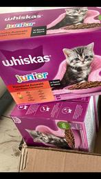 Kittenvoer, natvoer voor kittens Whiskas Junior, Ophalen, Nieuw