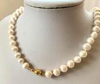Parel Ketting van Zoutwater Parels, Ophalen of Verzenden, Nieuw, Goud