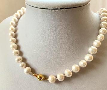 Parel Ketting van Zoutwater Parels beschikbaar voor biedingen