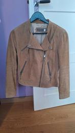 Leuk bruin  echt suede jacket van Mint velvet maat S(12), Bruin, Ophalen of Verzenden, Zo goed als nieuw, Maat 36 (S)