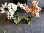 2 Orchideeën zijde Planten - 60cm Hoog, Ophalen of Verzenden, Zo goed als nieuw, Binnen
