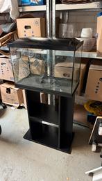 Juwel Primo 70 | 70L | 60x 31 x 40CM Zwart, Dieren en Toebehoren, Ophalen, Zo goed als nieuw, Leeg aquarium