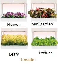 OPCOM Grow Box 2 Hydroponics System, Tuin en Terras, Kweekspullen, Nieuw, Kweekbak, Ophalen of Verzenden