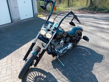 Custom Harley NL FLSTI Softail '05 Vette Bike beschikbaar voor biedingen