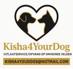 Vakantieopvang honden in huiselijke sfeer, December, Meerdere dieren